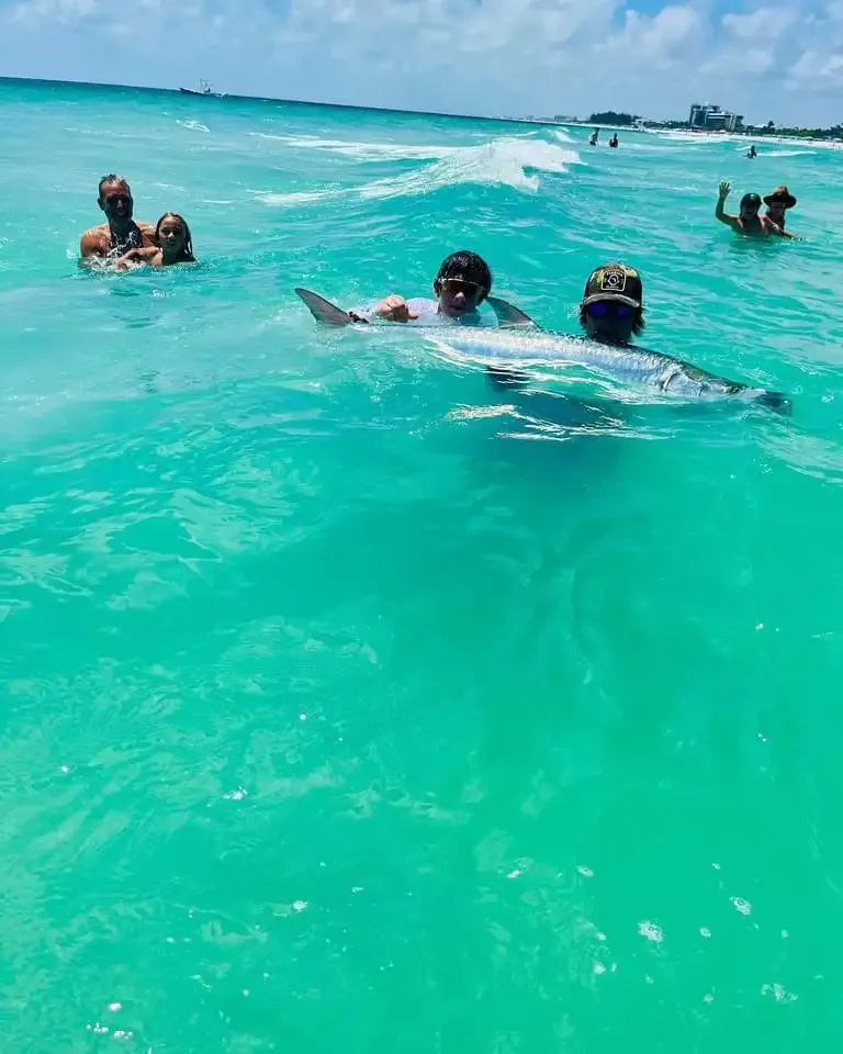 Anglers holding a trophy tarpon in the Gulf during a Sarasota beach fishing charter.