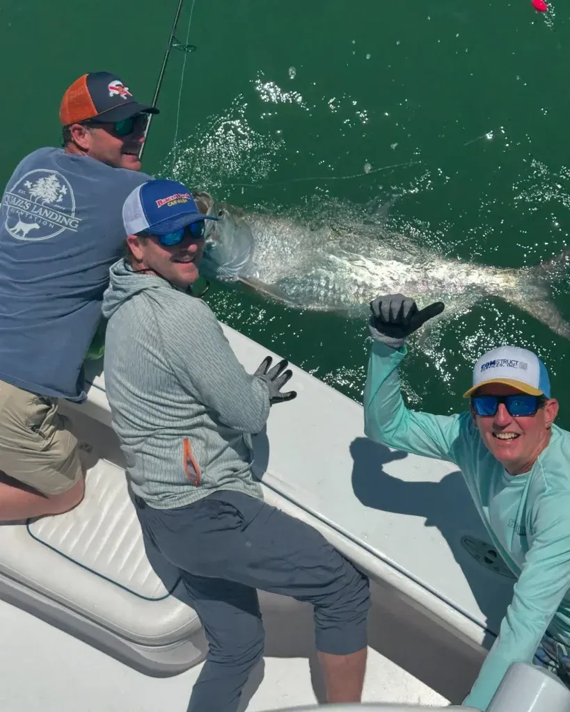 Three anglers releasing a trophy tarpon beside a charter boat in Sarasota, Florida.